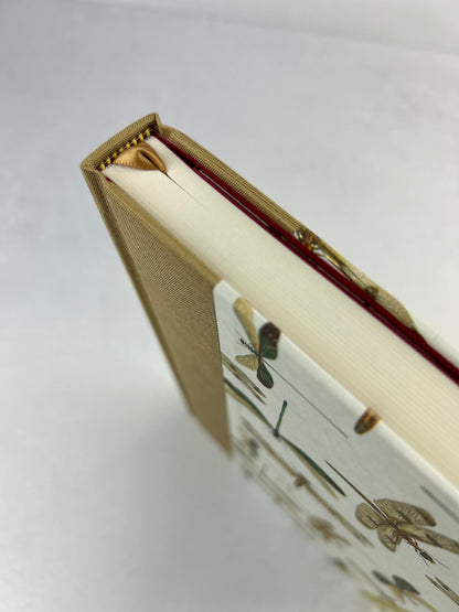 A5 160-page Hardcover Journal finished in Soft Gold Japanese book cloth and Dragonfly Florentine Italian Paper