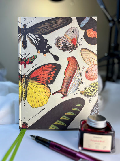 110 Page Sketch Book. Butterfly Italian Florentine Print. Handcrafted B5 Hardcover Notebook. ETSY EXCLUSIVE!