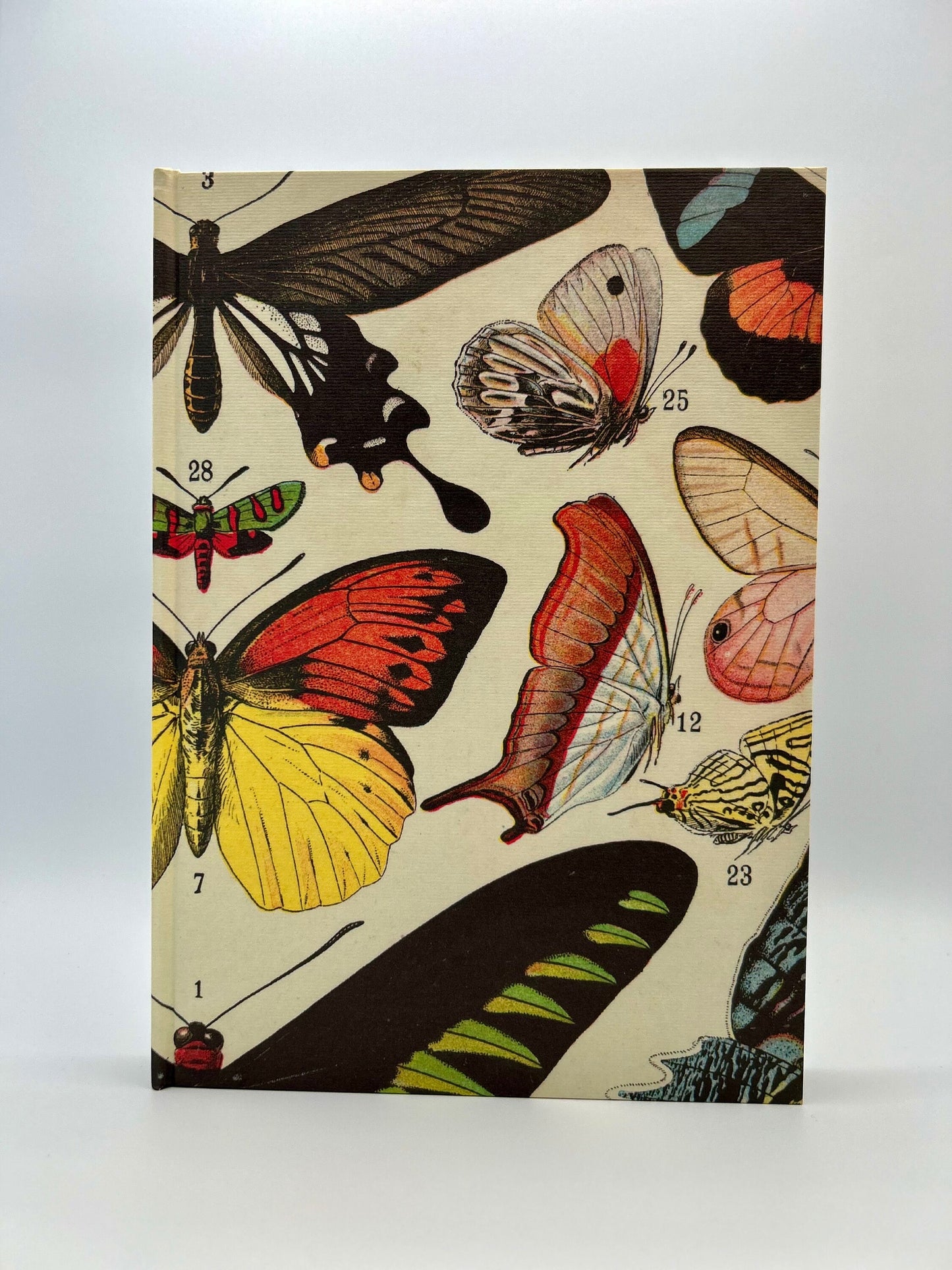 110 Page Sketch Book. Butterfly Italian Florentine Print. Handcrafted B5 Hardcover Notebook. ETSY EXCLUSIVE!